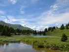 DSC_1131-t.JPG