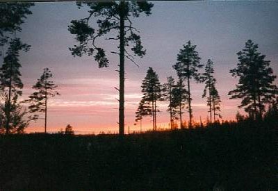 Interrail 1996, Schweden (Umea).