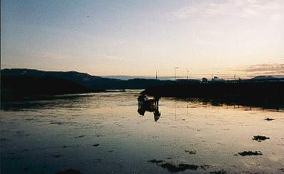 Norwegen, 1994. Fischen bei Mitternacht.