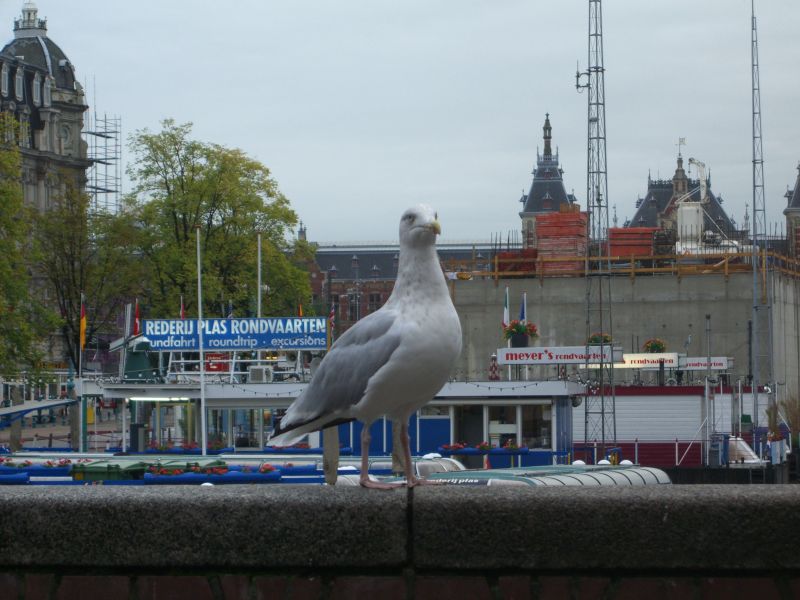 Mwe am Damrak an einem Samstag um 7:00 am