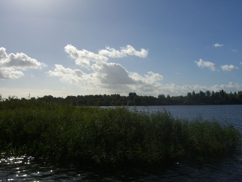 Gaasperplas