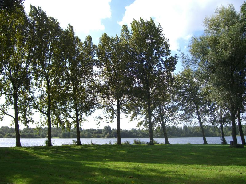 Halbinsel mit schattigen Bumen am Gaasperplas.