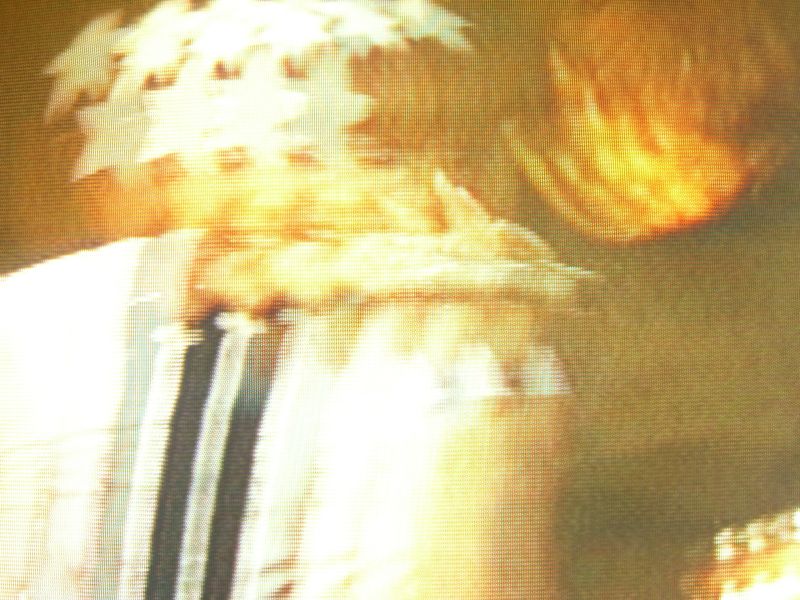 Mia. MTV Campus Invasion Wrzburg (10. Juni 06)
