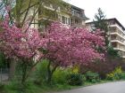 In Lausanne.