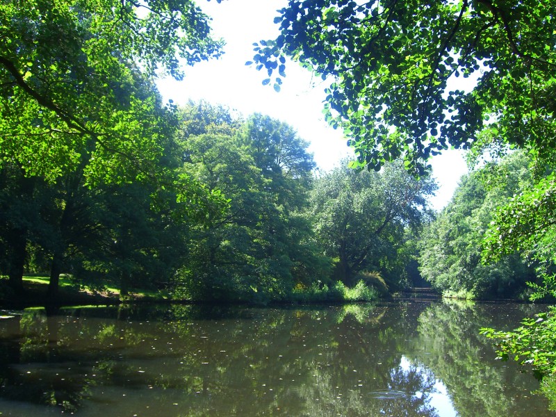 Tiergarten.