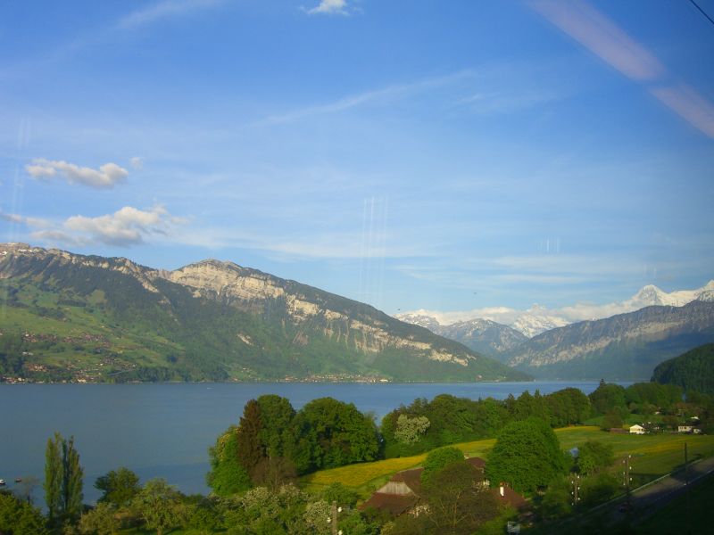 Thunersee.